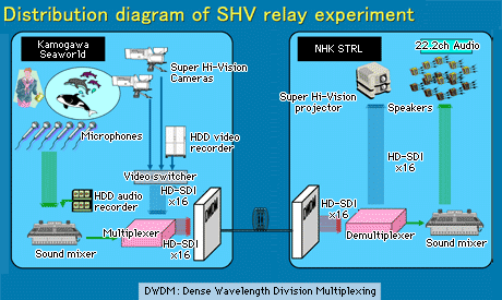 HD TV broadcast and transmission Unknown